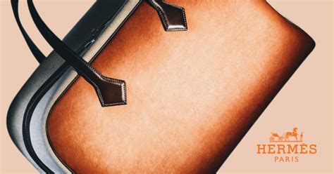 hermes bets on mushroom leather|Hermes mushroom leather.